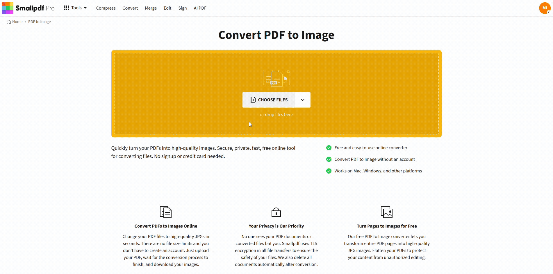 Convert the PDF to Images