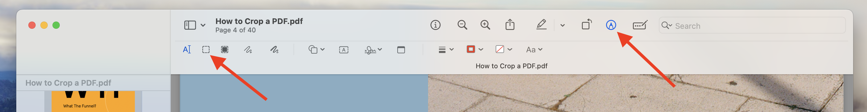 Choose Rectangular selection on your Preview